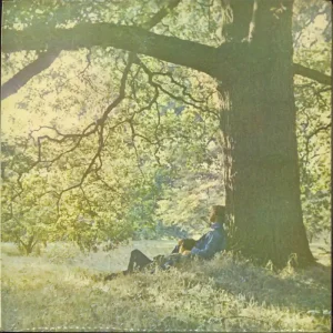 Luxury Yoko Ono Yoko Ono / Plastic Ono Band - EX UK Vinyl LP