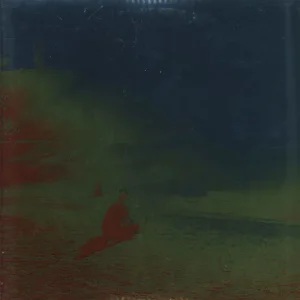 Don’t Miss Out The Flaming Lips The Terror - 180gm Vinyl + Bonus CD UK 2-LP vinyl set