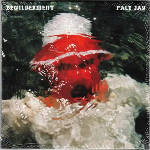Price Drop PALE JAY Bewilderment CD, like new