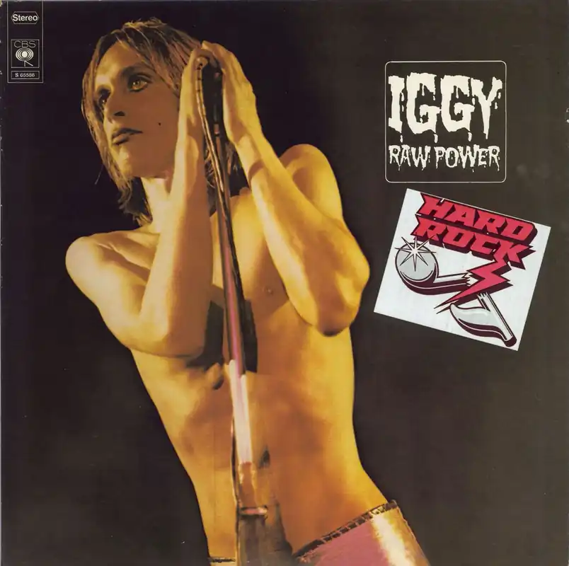 Mega Sale The Stooges Raw Power Dutch Vinyl LP