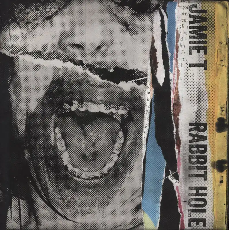 Jamie T Rabbit Hole UK 12" vinyl Direct From Factory