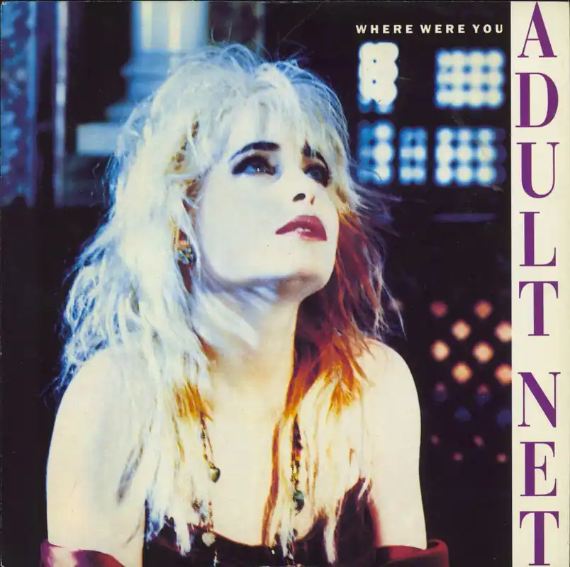 Warranty Included Adult Net Where Were You UK 7" vinyl