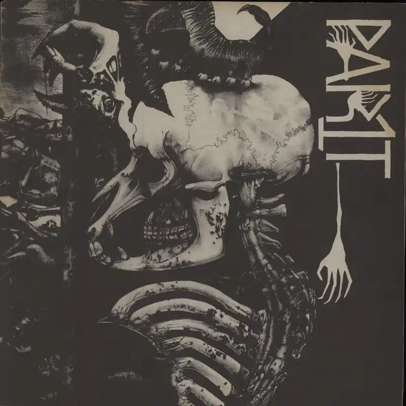 Brand New Part 1 Pictures Of Pain US Vinyl LP