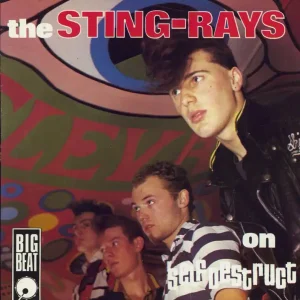 The Sting-Rays On Self Destruct UK 7" vinyl Popular