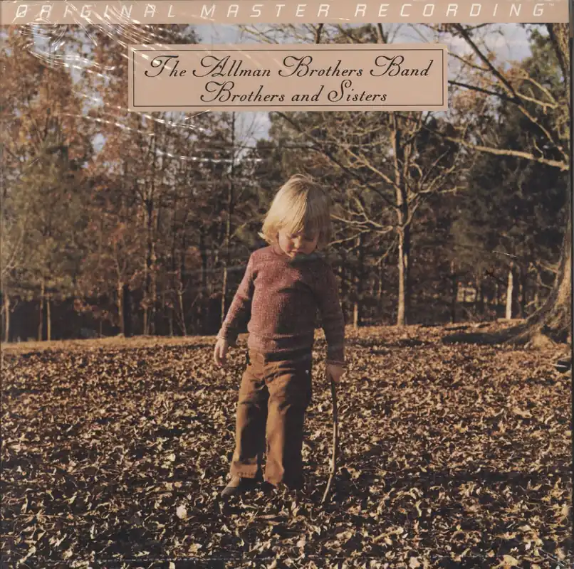 Allman Brothers Band Brothers & Sisters US Vinyl LP Professional Grade