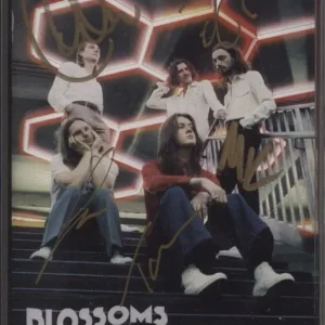 Blossoms Foolish Loving Spaces - Autographed - Sealed UK Cassette album Professional Grade