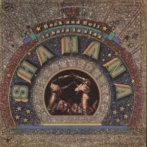 Sha Na Na Rock And Roll Is Here To Stay US Vinyl LP Free Delivery