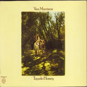 Same Day Shipping Van Morrison Tupelo Honey German Promo Vinyl LP