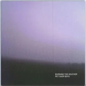 Buy Direct Pet Shop Boys Burning The Heather UK 7" vinyl
