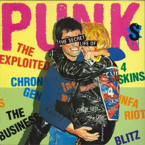 Bulk Order Various-Punk & New Wave The Secret Life Of Punks UK Vinyl LP