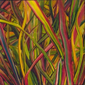 Shop Now Gengahr Where Wildness Grows UK Vinyl LP