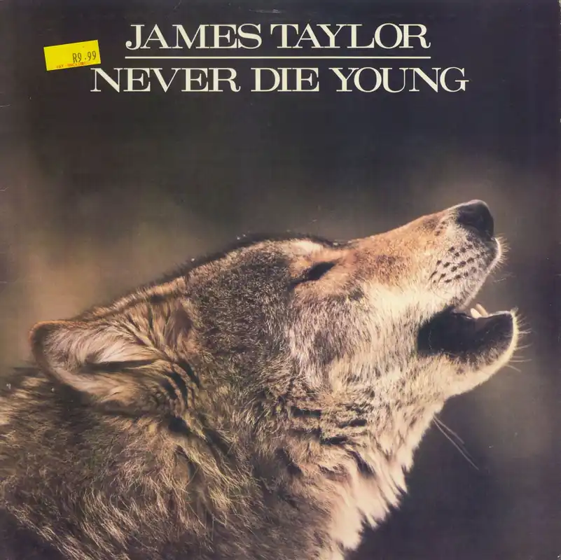 James Taylor Never Die Young South African Vinyl LP Fresh Stock