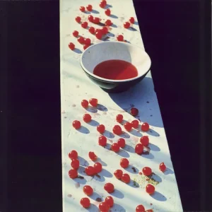Paul McCartney and Wings McCartney European Vinyl LP Premium
