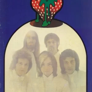 Exclusive The Strawbs 1974 Tour Brochure UK Tour programme