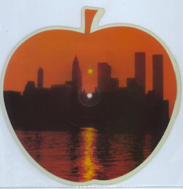 Worldwide Shipping Frank Sinatra New York New York UK Shaped picture disc
