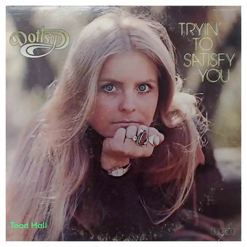 Affordable Dottsy - Tryin' To Satisfy You - Used Vinyl