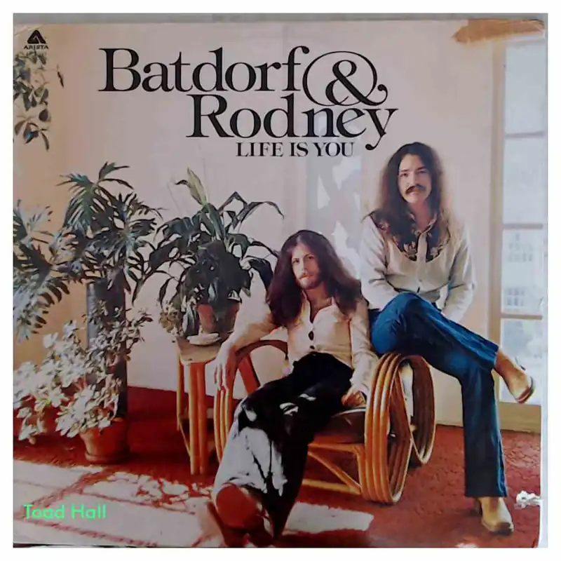Batdorf & Rodney - Life Is You - Used Vinyl Limited Edition
