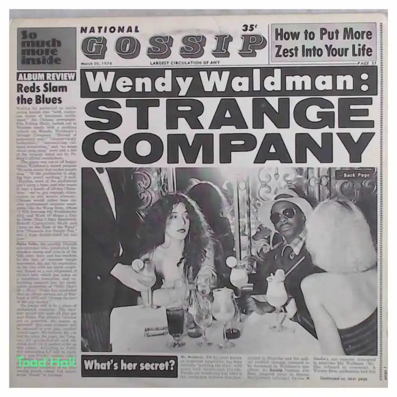 WENDY WALDMAN Strange Company Used Vinyl LP Limited Time