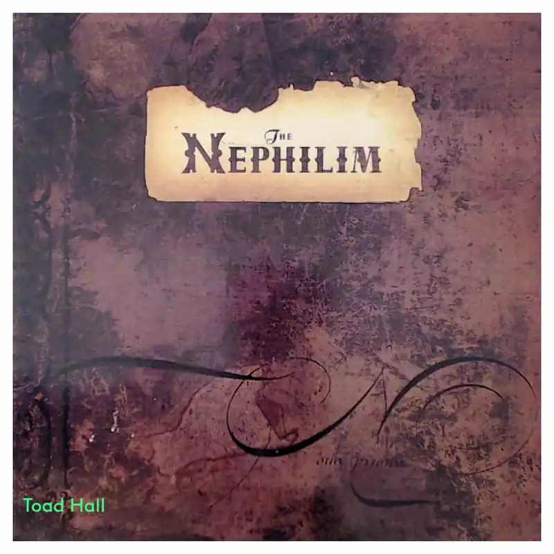 Warranty Included Fields Of The Nephilim - The Nephilim - Used Vinyl