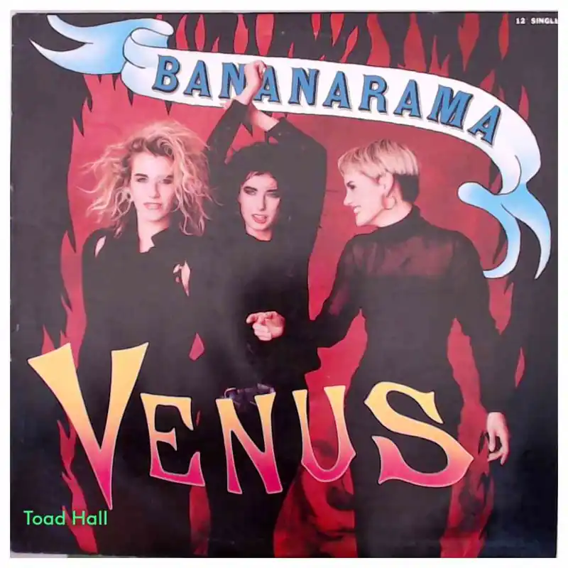 Bananarama - Venus (12 Inch Single) - Used Vinyl Discount