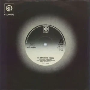 Authentic The Little Roosters She Cat Sister Floozie UK 7" vinyl