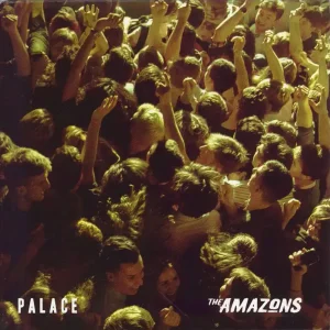 Seasonal Sale The Amazons Palace - Orange Vinyl UK 7" vinyl