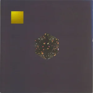 Gold Panda Half Of Where You Live - 180gram Vinyl - EX US 2-LP vinyl set Handmade