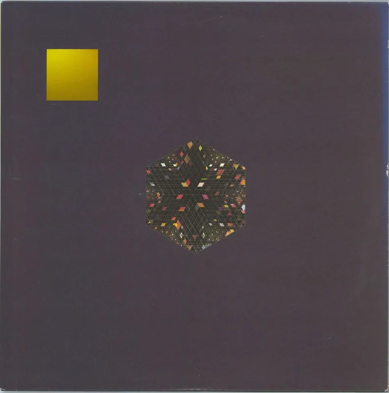 Gold Panda Half Of Where You Live - 180gram Vinyl - EX US 2-LP vinyl set Handmade