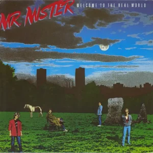 Professional Grade Mr Mister Welcome To The Real World German Vinyl LP