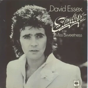 David Essex Stardust - Four Prong Centre - Picture Sleeve UK 7" vinyl Buy Online