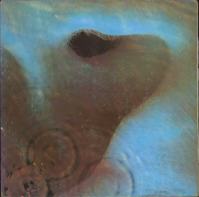 Pink Floyd Meddle Italian Vinyl LP Mega Sale
