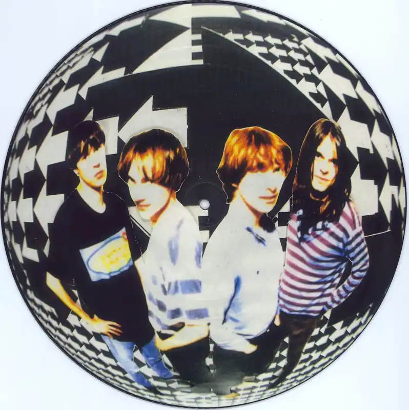 Reduced Price The Darkside Melomania UK Picture disc LP