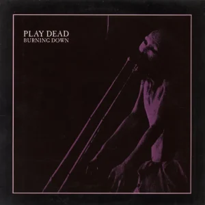 Play Dead Burning Down - EX UK 12" vinyl Low Price