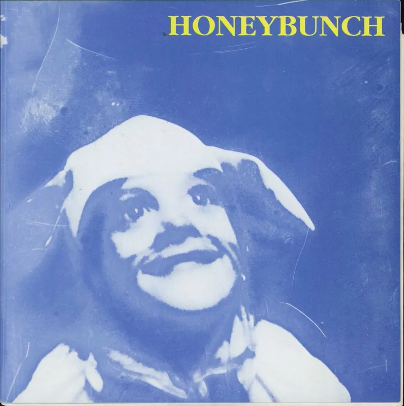 HoneyBunch Hey Blue Sky! US 7" vinyl Hot Deal
