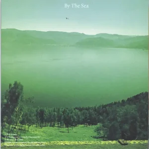 The See See Automobile / Old Coasts - Numbered UK 7" vinyl Exclusive