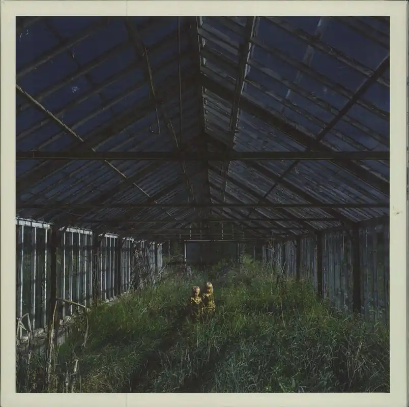 Foxing Dealer - Milky Clear / Bone White Vinyl US Vinyl LP Free Returns