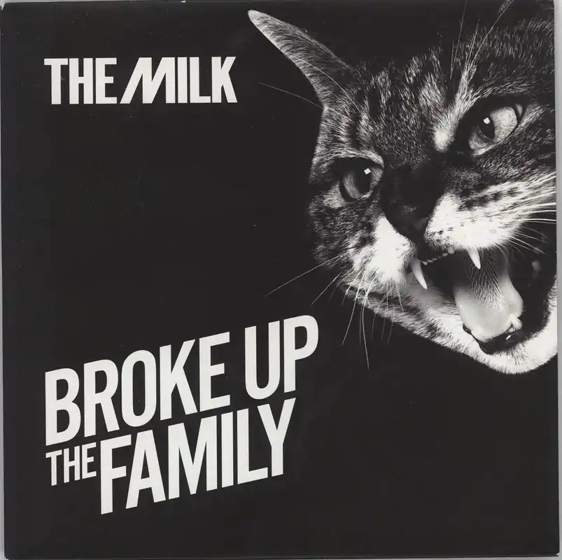 Special Discount The Milk Broke Up The Family UK 7" vinyl