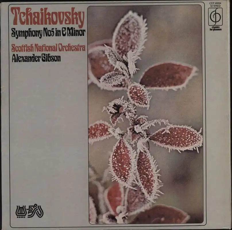 Pyotr Ilyich Tchaikovsky Symphony No. 5 in E Minor, Op.64 UK Vinyl LP Hot Picks