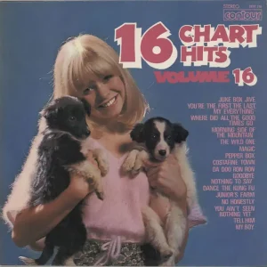 Various-Pop 16 Chart Hits Volume 16 UK Vinyl LP Popular