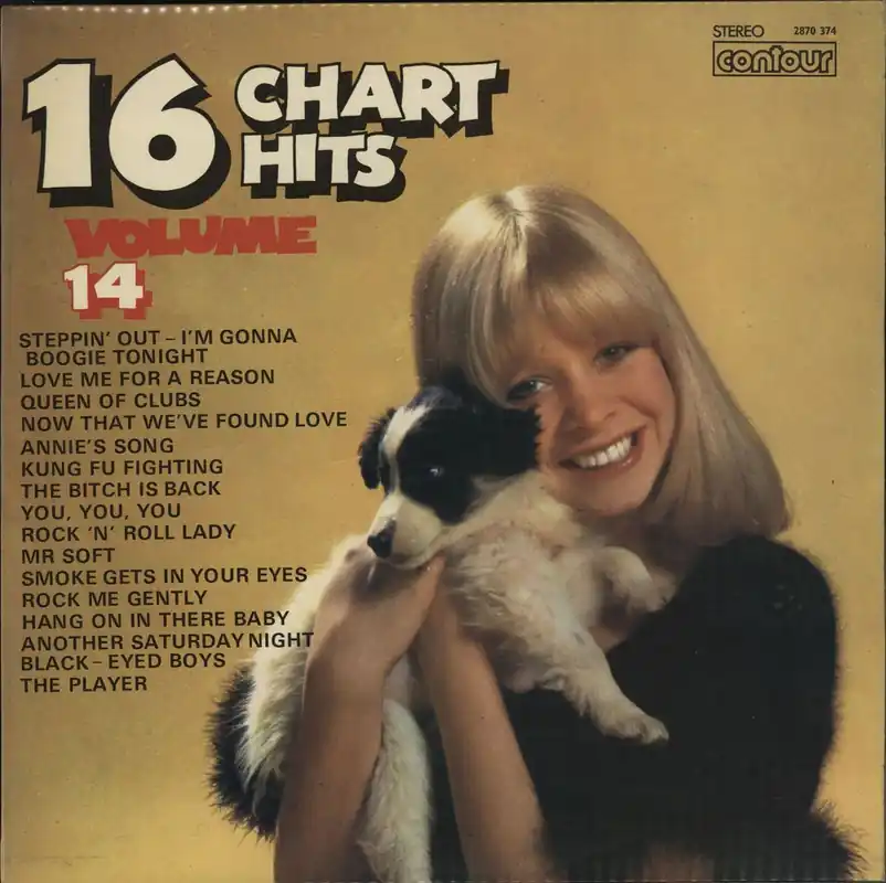 Various-Pop 16 Chart Hits Volume 14 UK Vinyl LP Today Only