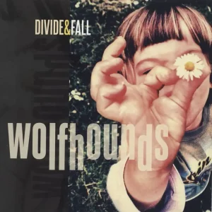 Clearance The Wolfhounds Divide & Fall - Red Vinyl UK 7" vinyl