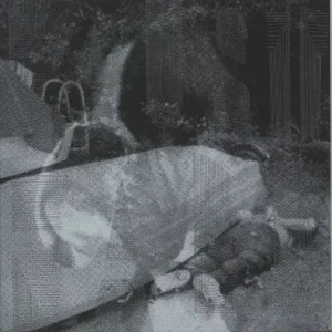 Limited Time Haust Fall Norwegian 7" vinyl
