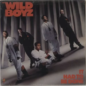 Bargain The Wild Boyz It Had To Be Done US Vinyl LP