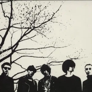 The Horrors Untitled US Promo CD single Exclusive