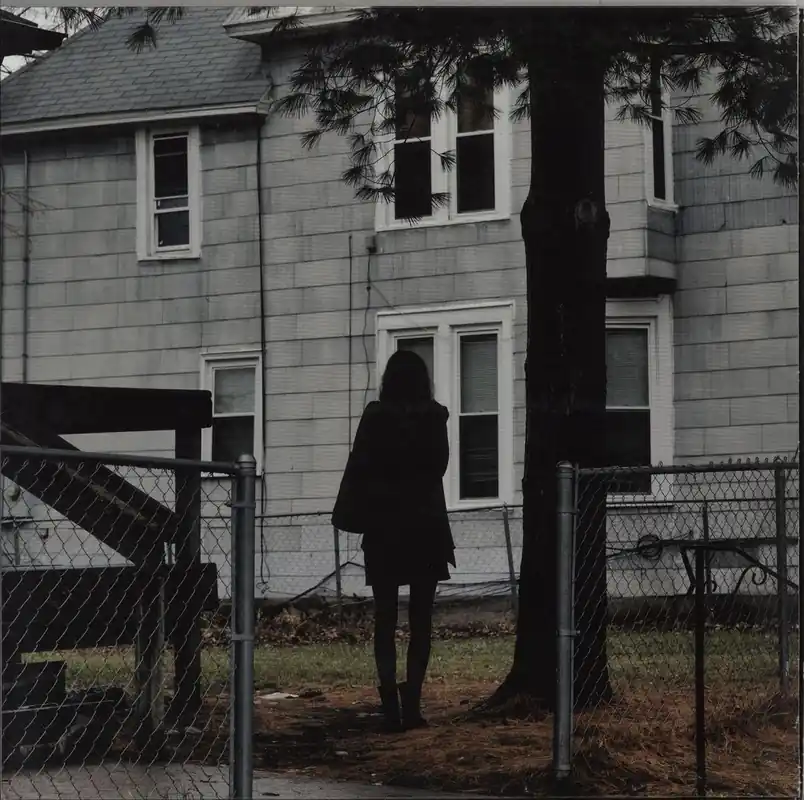Place Order The Tallest Man On Earth Dark Bird Is Home UK Vinyl LP