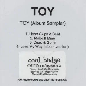 Professional Grade Toy Toy (Album Sampler) UK Promo CD-R acetate