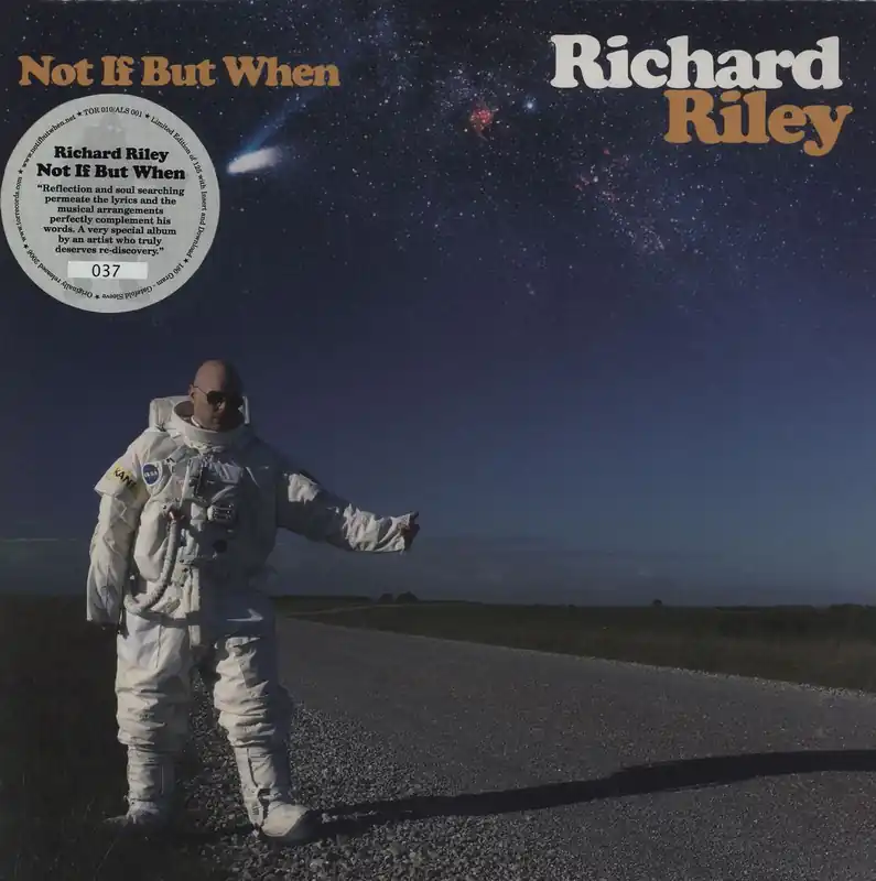 Richard Riley Not If But When - 180gm UK Vinyl LP Discount