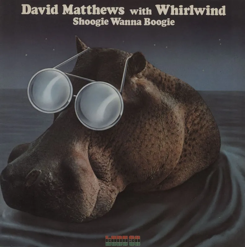Last Chance David Matthews Shoogie Wanna Boogie UK Vinyl LP