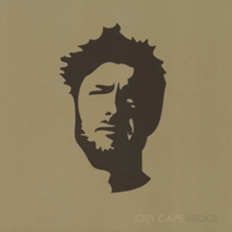 Fresh Stock Joey Cape Bridge US Vinyl LP