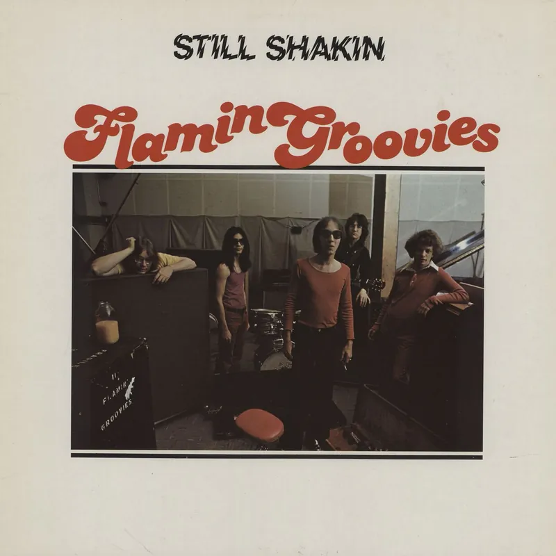 Flamin' Groovies Still Shakin German Vinyl LP Big Sale